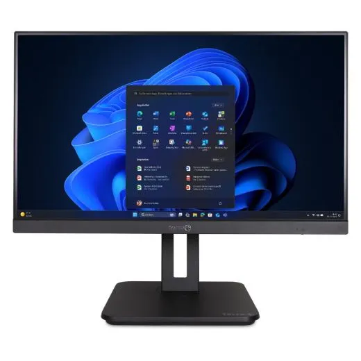 TERRA AIO 2420 (1000183)